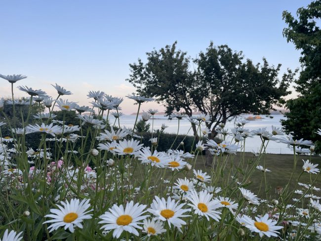 IMG_6107 Coach et coaching