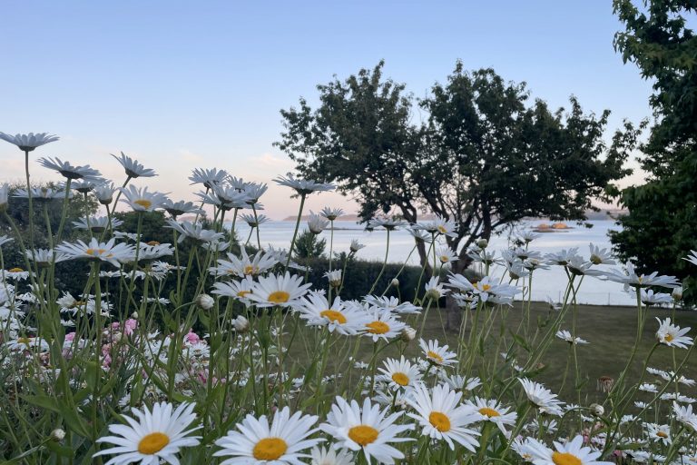 IMG_6107 Coach et coaching