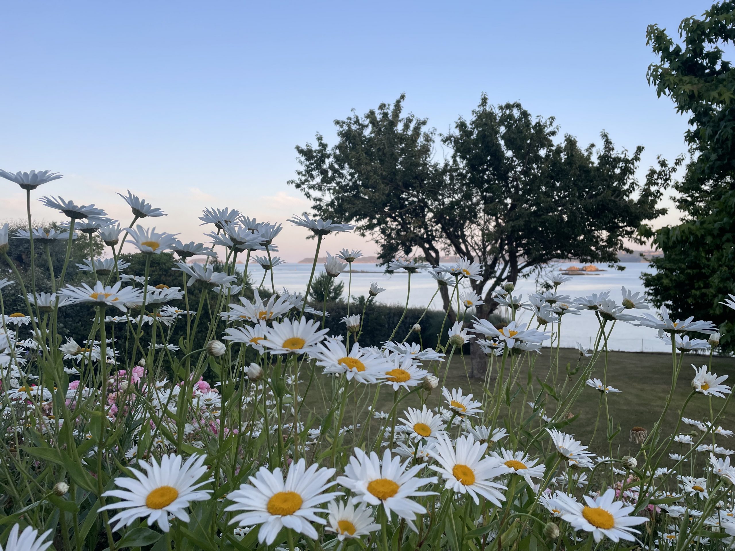 IMG_6107 Coach et coaching